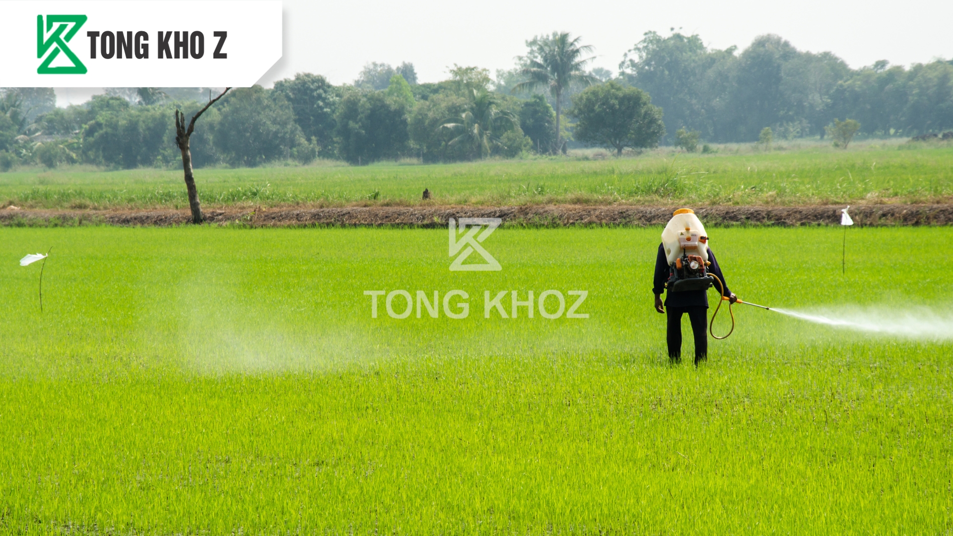 huong-dan-su-dung-thuoc-tru-sau-nofara-35wg-hieu-ray-thia-com-z.jpg