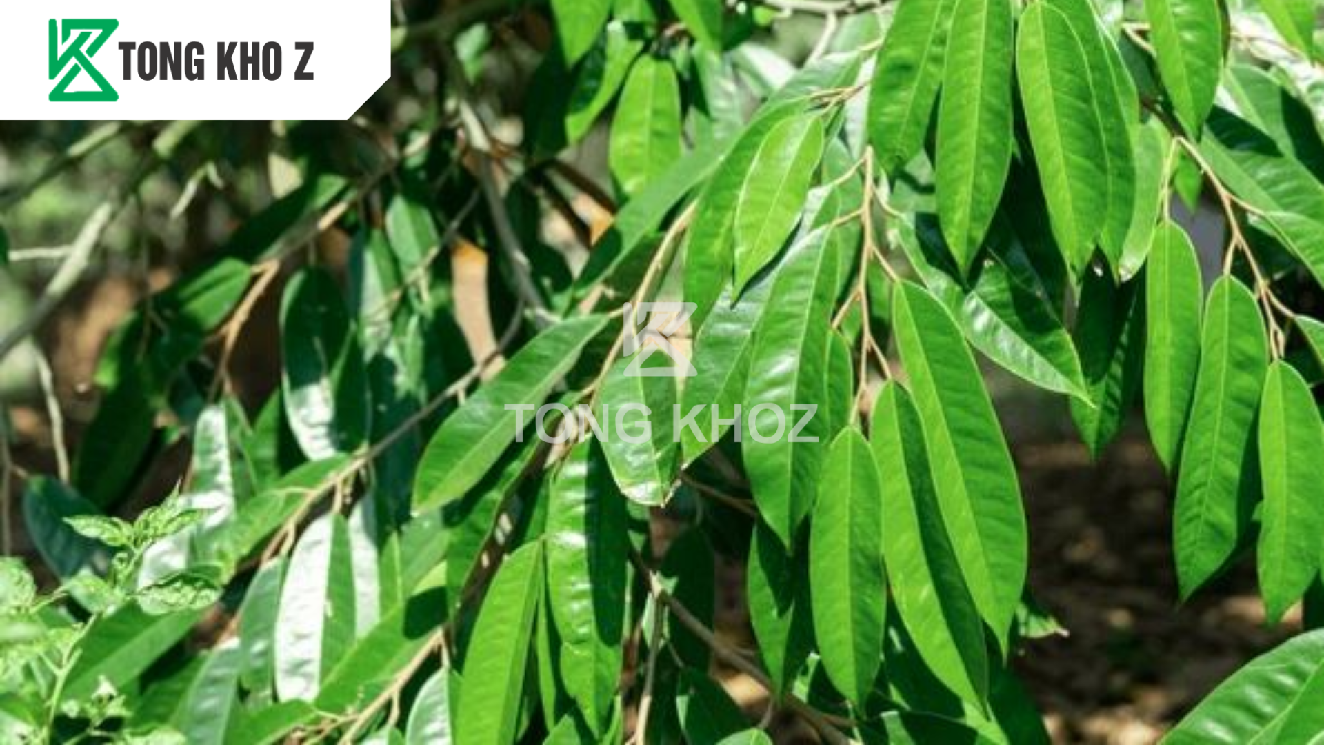 cong-dung-phan-bon-huu-co-sataka-110-hieu-bud-go-z.png