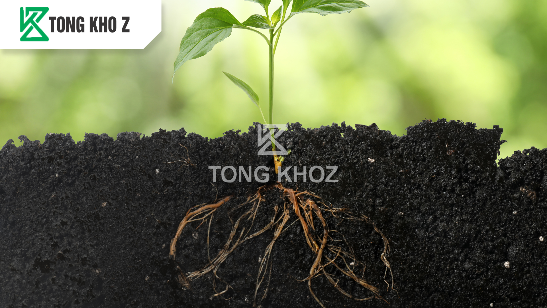 cong-dung-phan-bon-huu-co-sataka-113-hieu-rooter-z.png