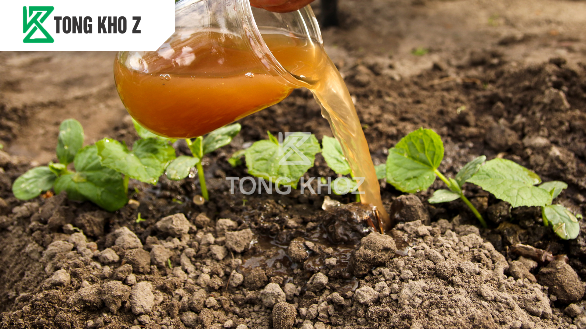 huong-dan-su-dung-phan-bon-huu-co-sataka-113-hieu-rooter-z.png