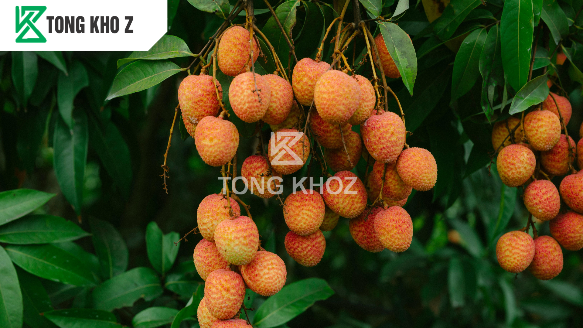 cau-hoi-thuong-gap.png