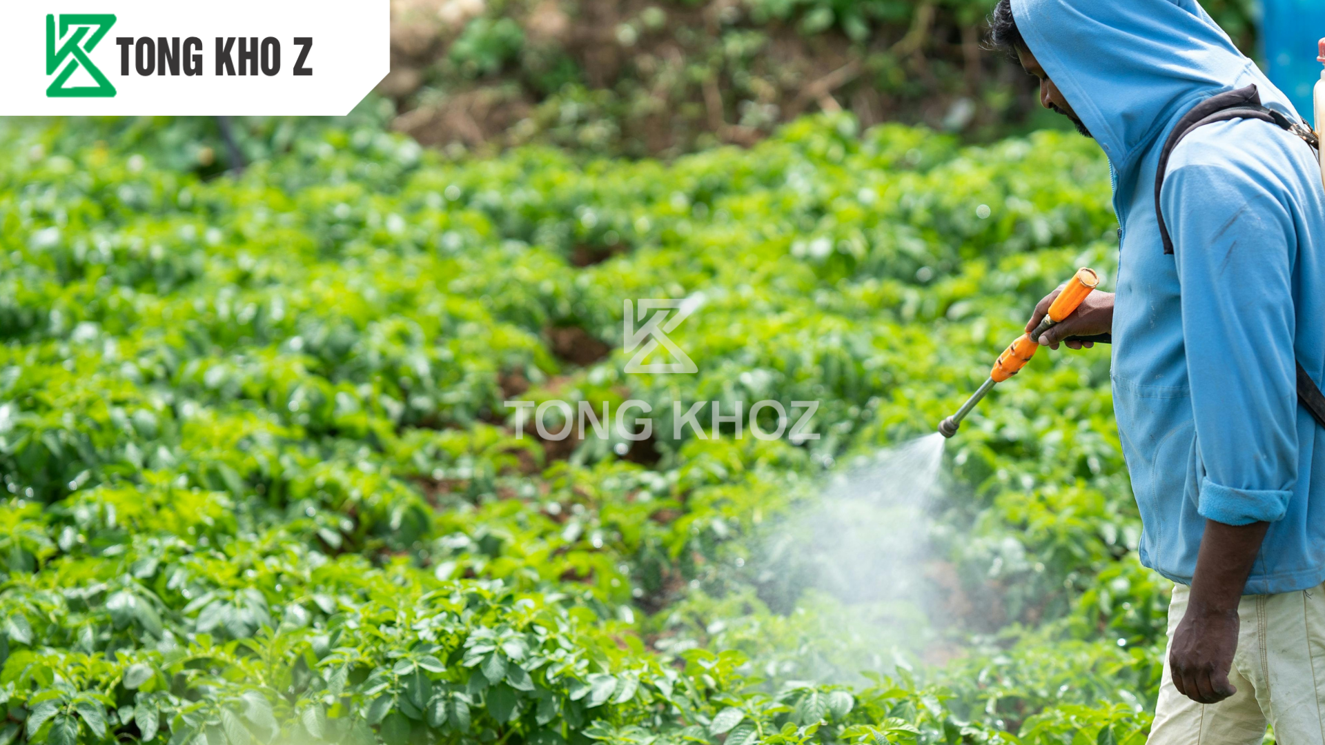 huong-dan-su-dung-phan-bon-la-trung-vi-luong-combi-mix-hieu-combi-z1.png