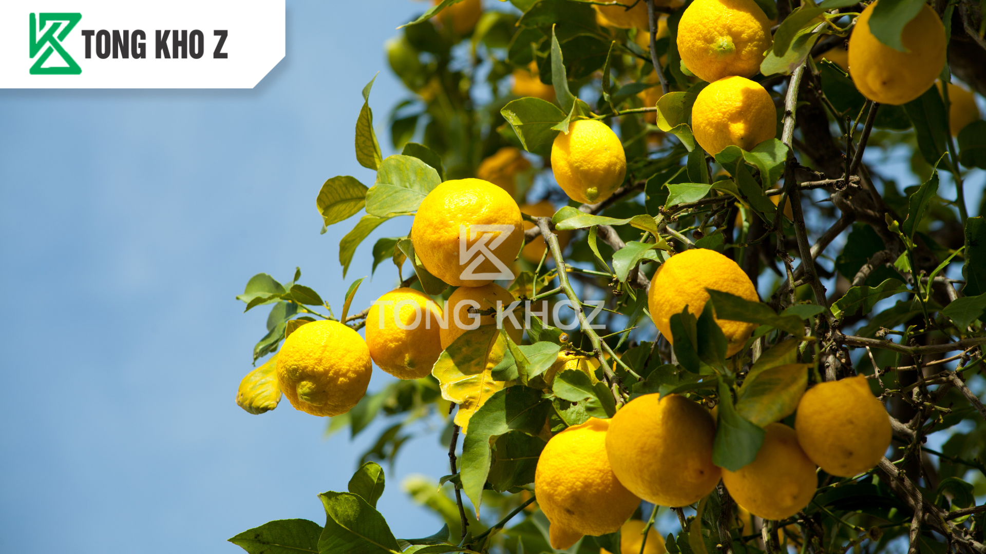 cong-dung-phan-bon-vi-luong-gnc-17-hieu-combi-z2.png