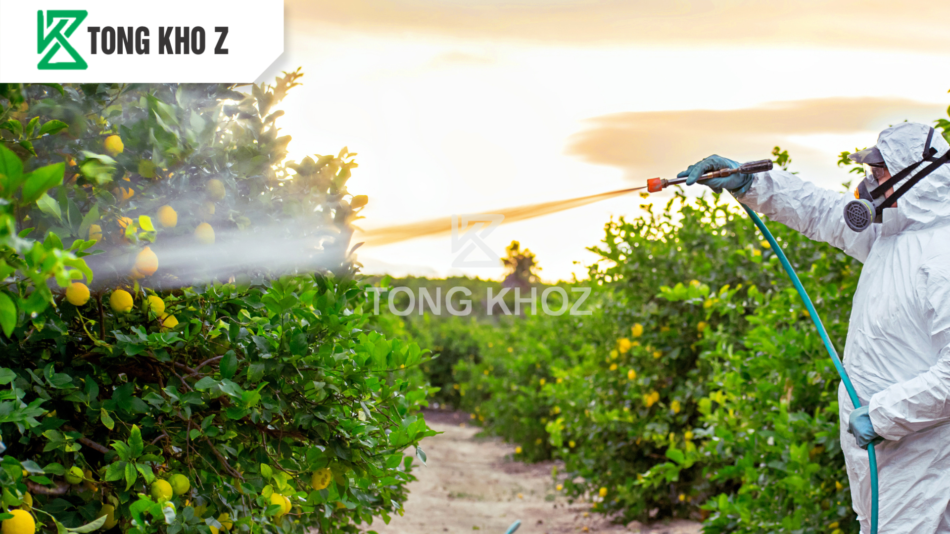 huong-dan-su-dung-phan-bon-vi-luong-gnc-17-hieu-combi-z2.png