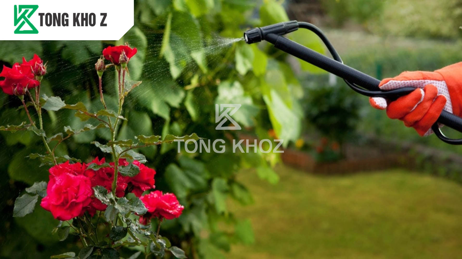 huong-dan-su-dung-thuoc-tru-sau-bp-newone-500sc-hieu-nhen-dia-z.png
