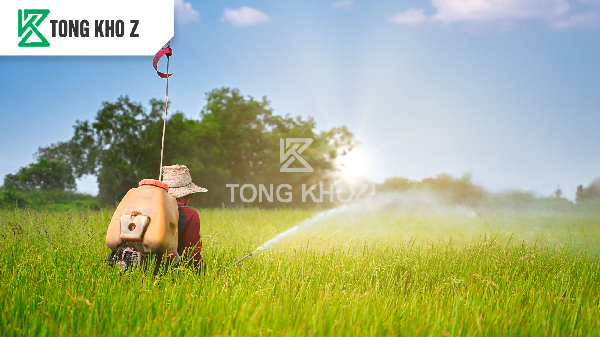 huong-dan-su-dung-thuoc-tru-sau-rocking-500wg-hieu-ray-pybup-z.png