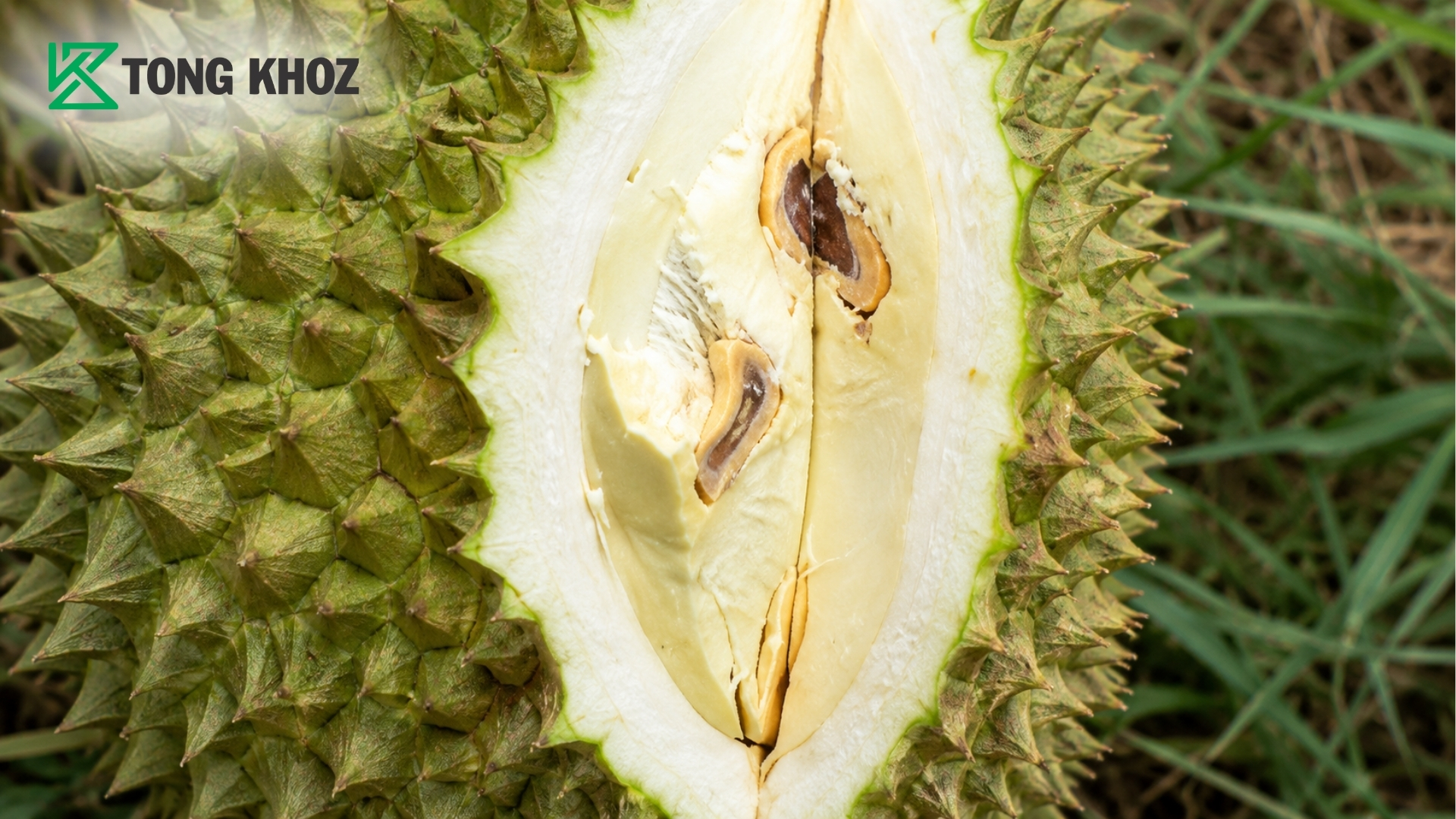 faq-cau-hoi-nha-vuon-thuong-gap-ve-suong-com-sau-rieng.jpg