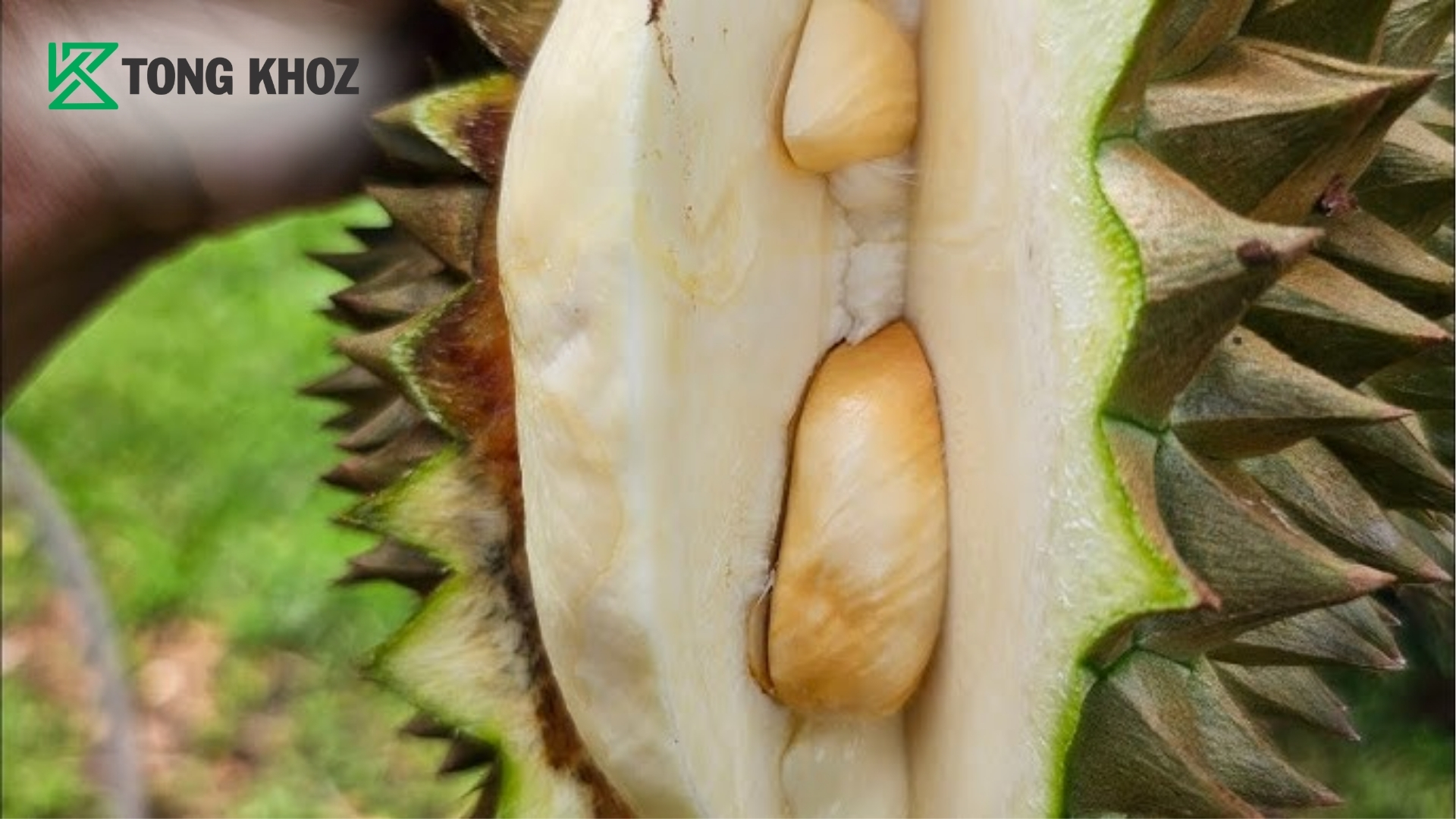 lich-phong-suong-com-ri6-duoc-nhieu-nha-vuon-ap-dung.jpg
