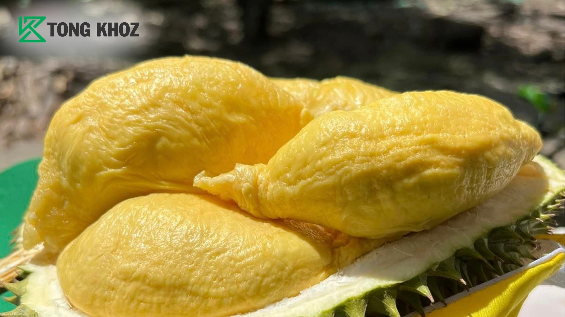 giai-phap-ho-tro-han-che-suong-com-tu-tong-kho-z.jpg