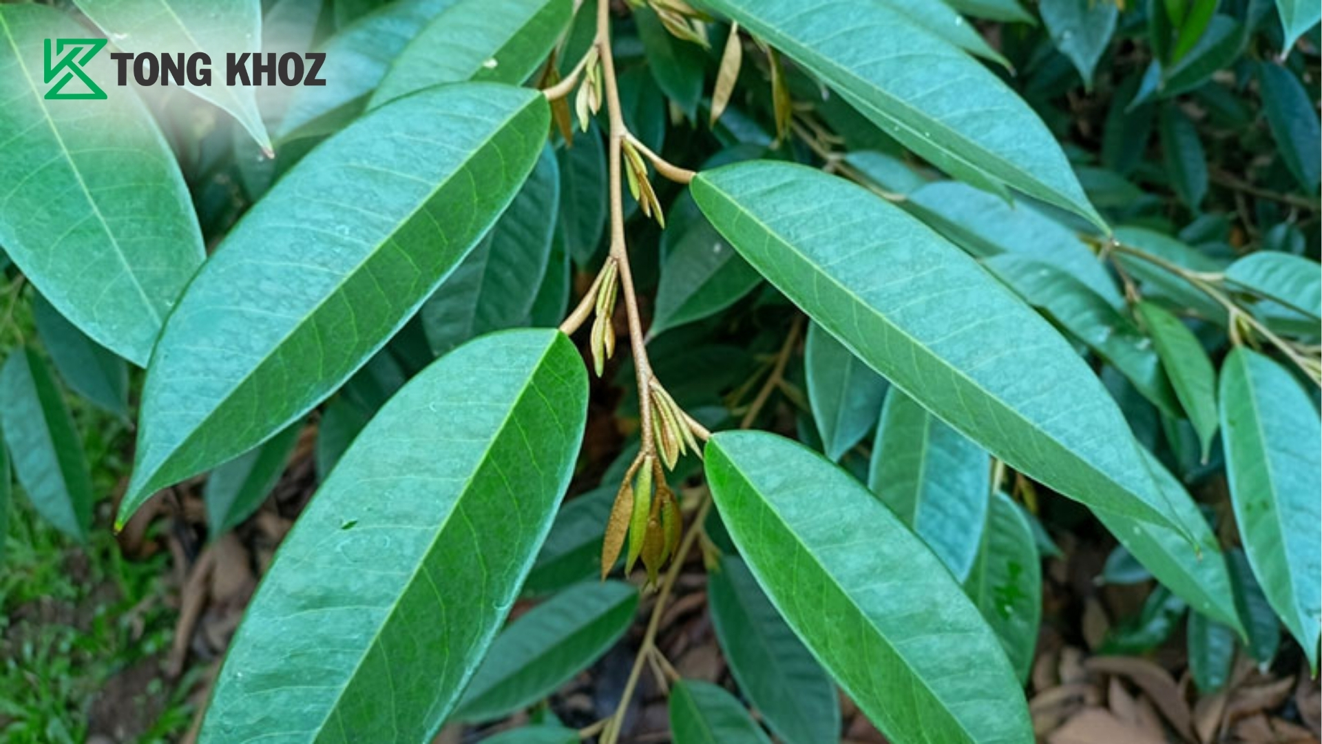 buoc-4-chong-soc-sinh-ly-va-ve-sinh-hoa-tan.jpg