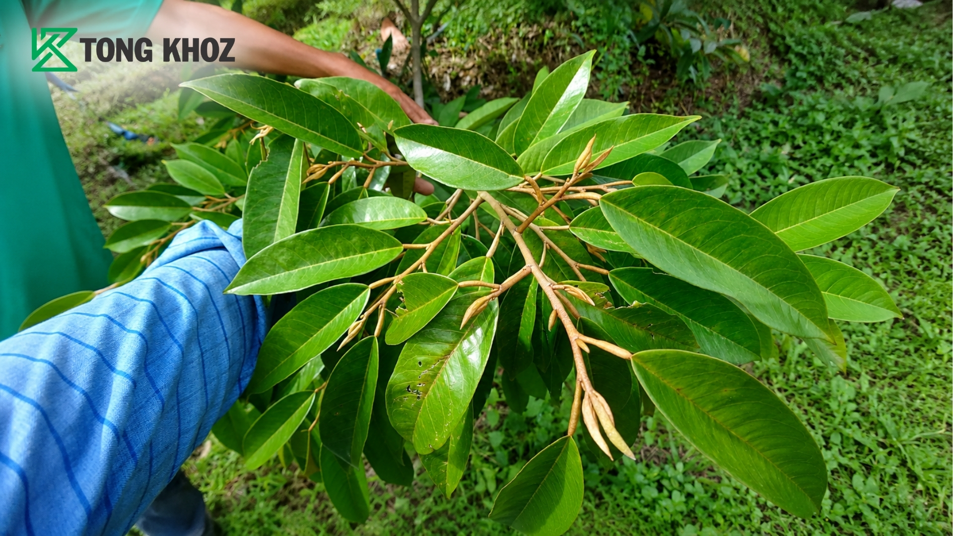 faq-cau-hoi-thuong-gap.jpg