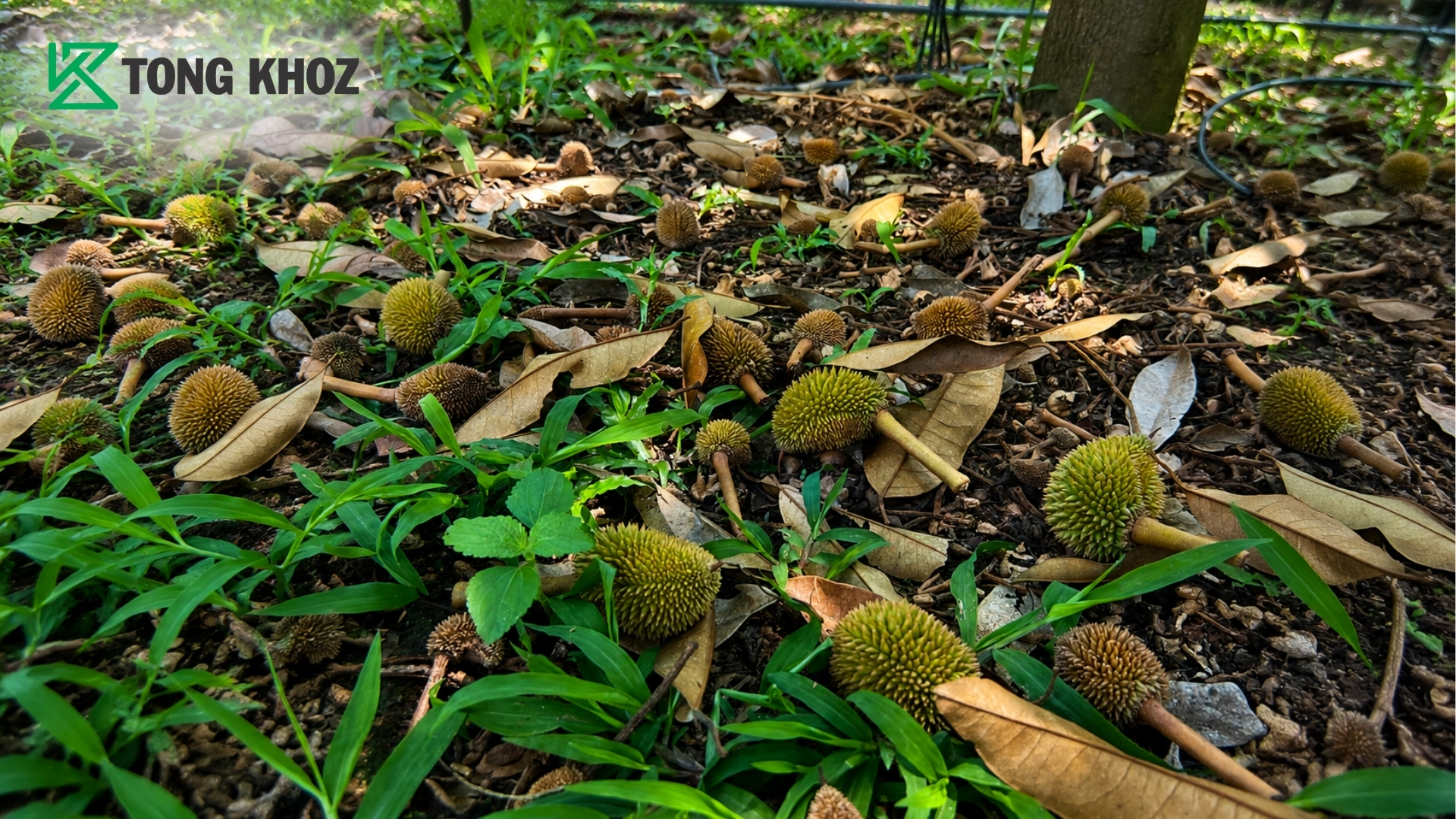 faq-cau-hoi-thuong-gap.jpg