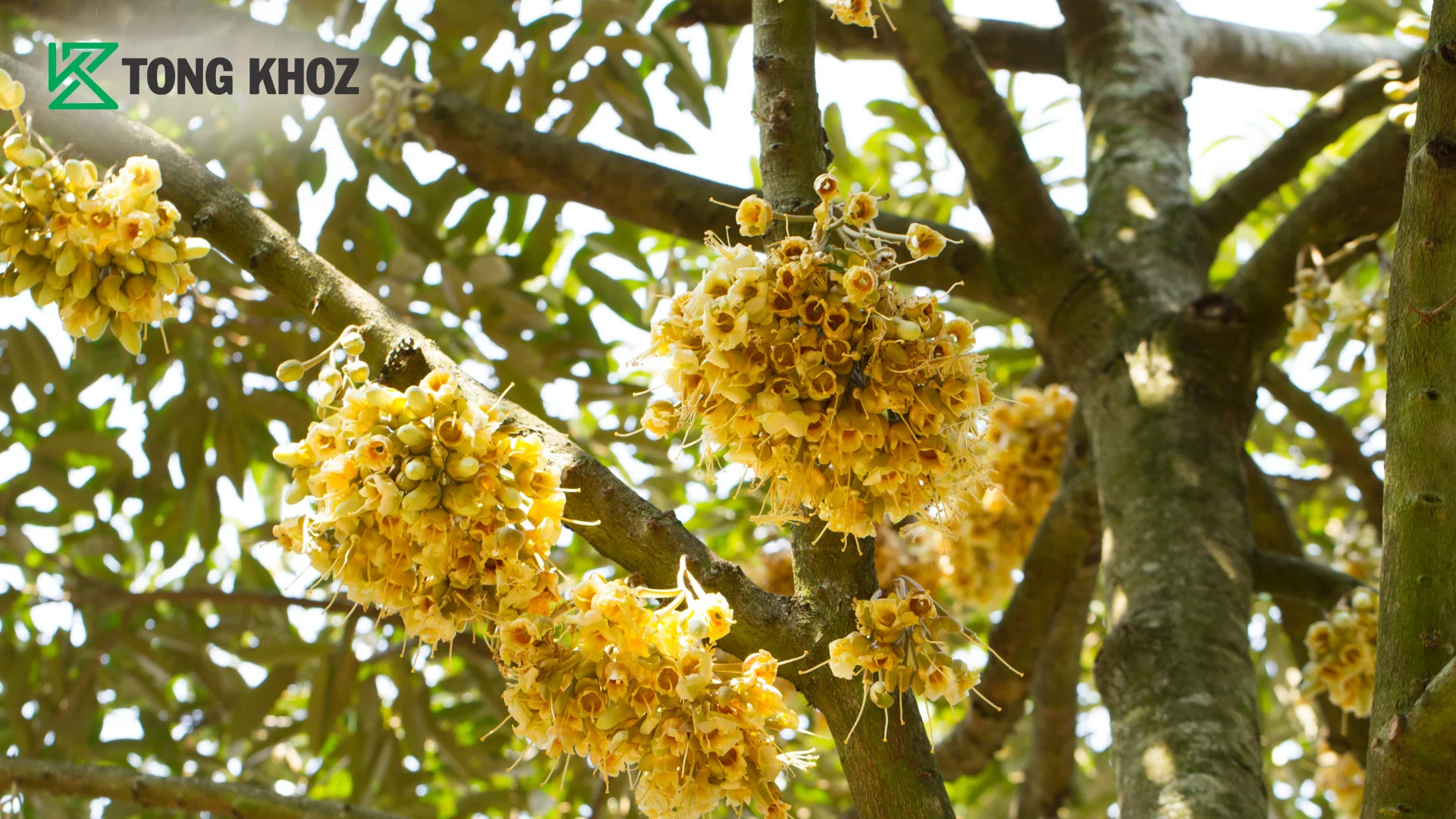 cau-hoi-ba-con-thuong-gap.webp