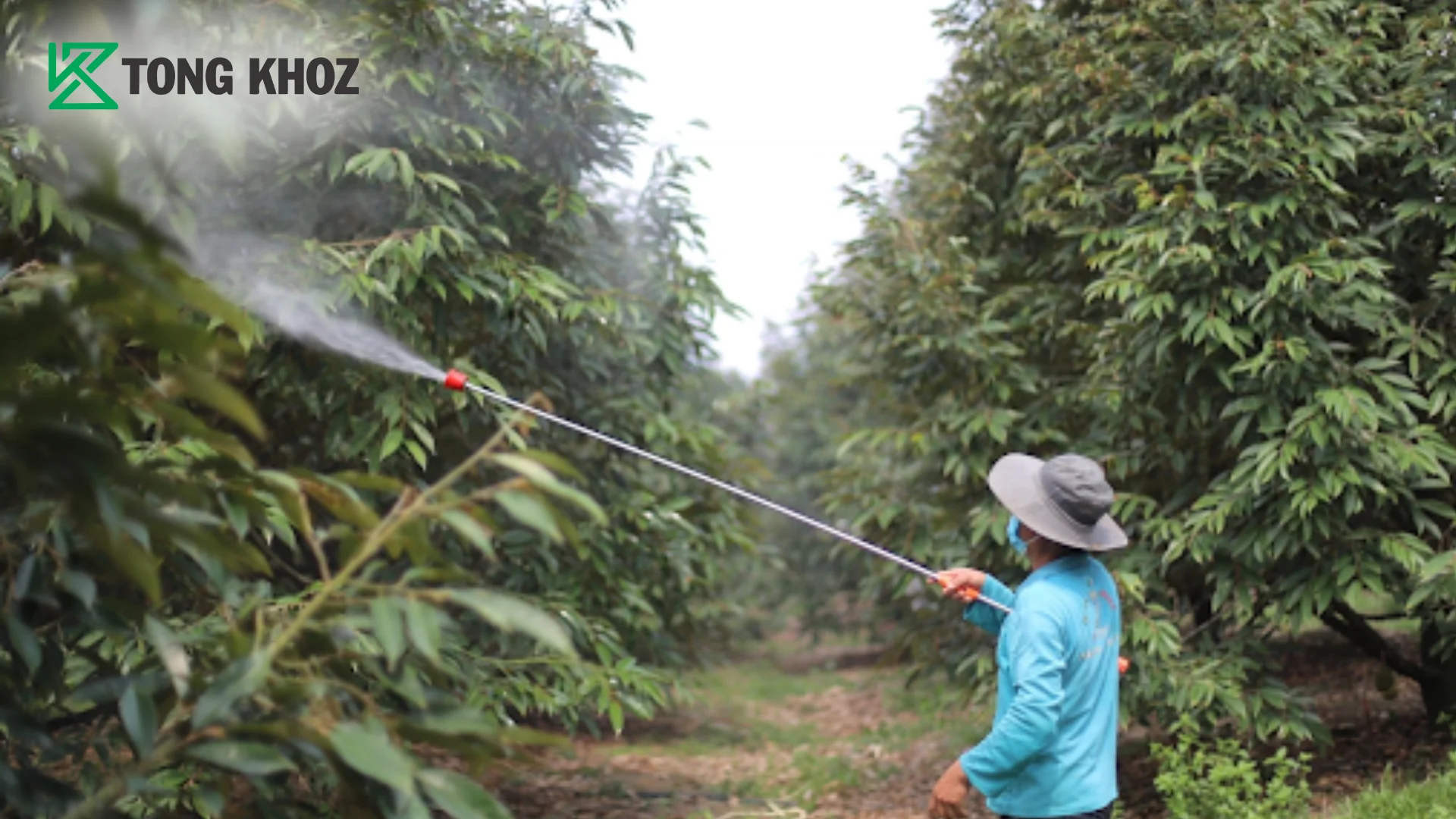 huong-dan-su-dung-phan-bon-huu-co-sataka-110-hieu-bud-go-z.webp