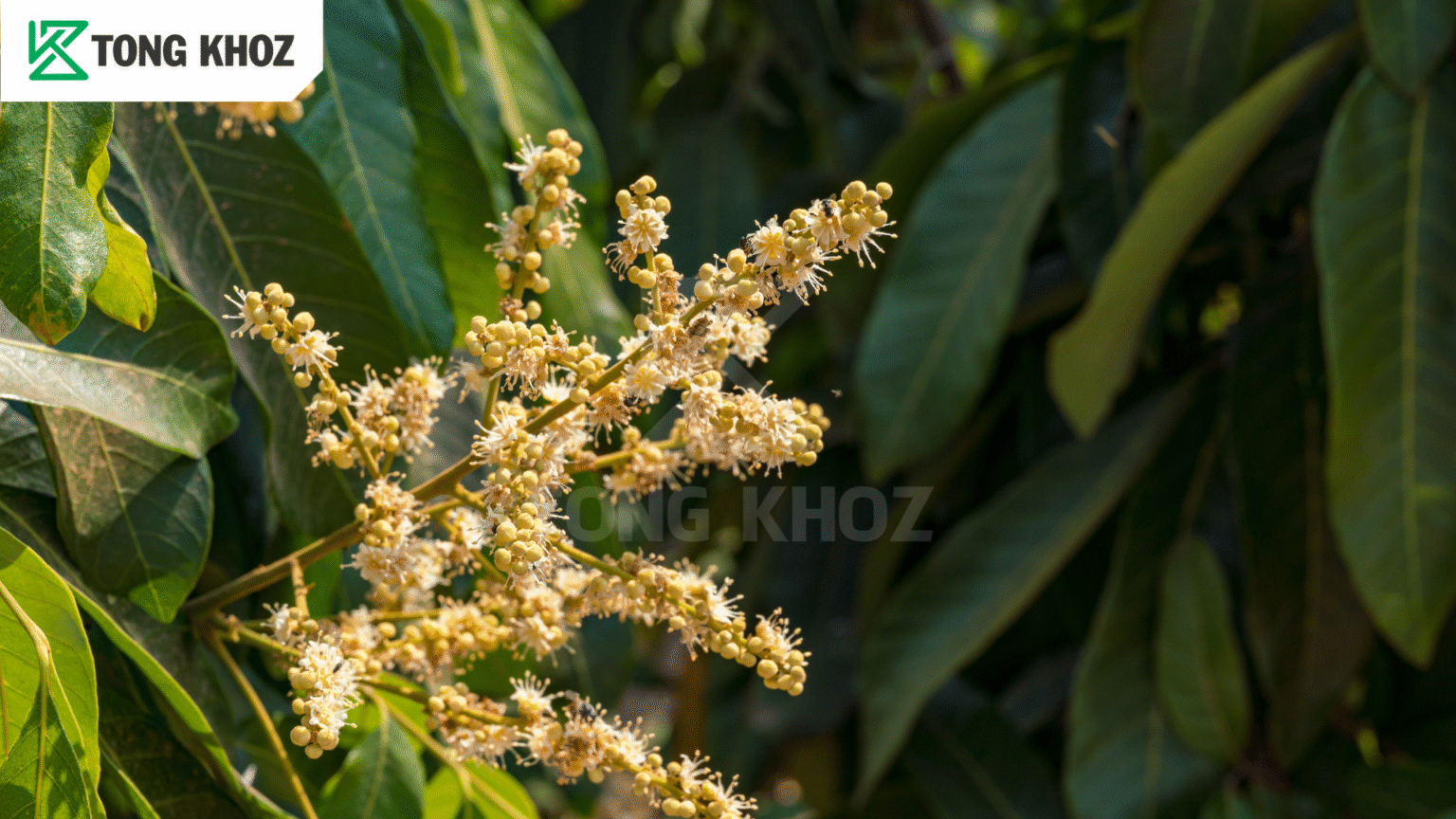 Biện pháp phòng trừ