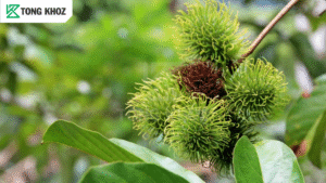 Biện pháp phòng trừ 