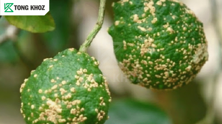Biện pháp phòng trừ