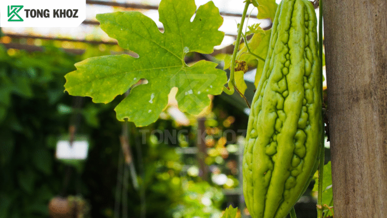 Biện pháp phòng trừ