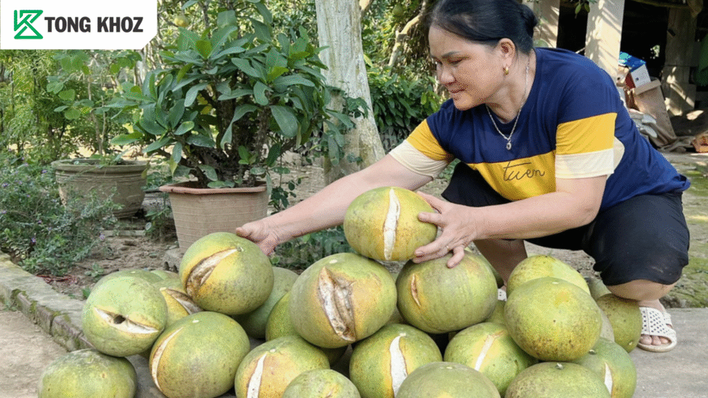 Nguyên nhân nứt trái bưởi 