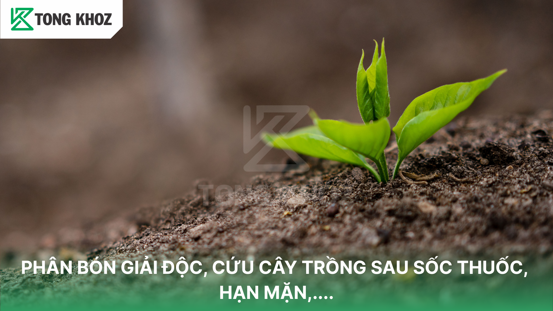 Thành phần trong phân bón giải độc