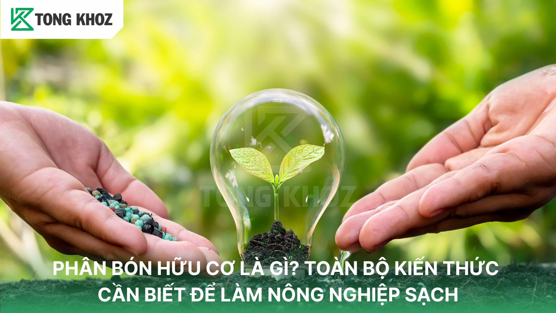 Gợi ý mua phân bón hữu cơ 