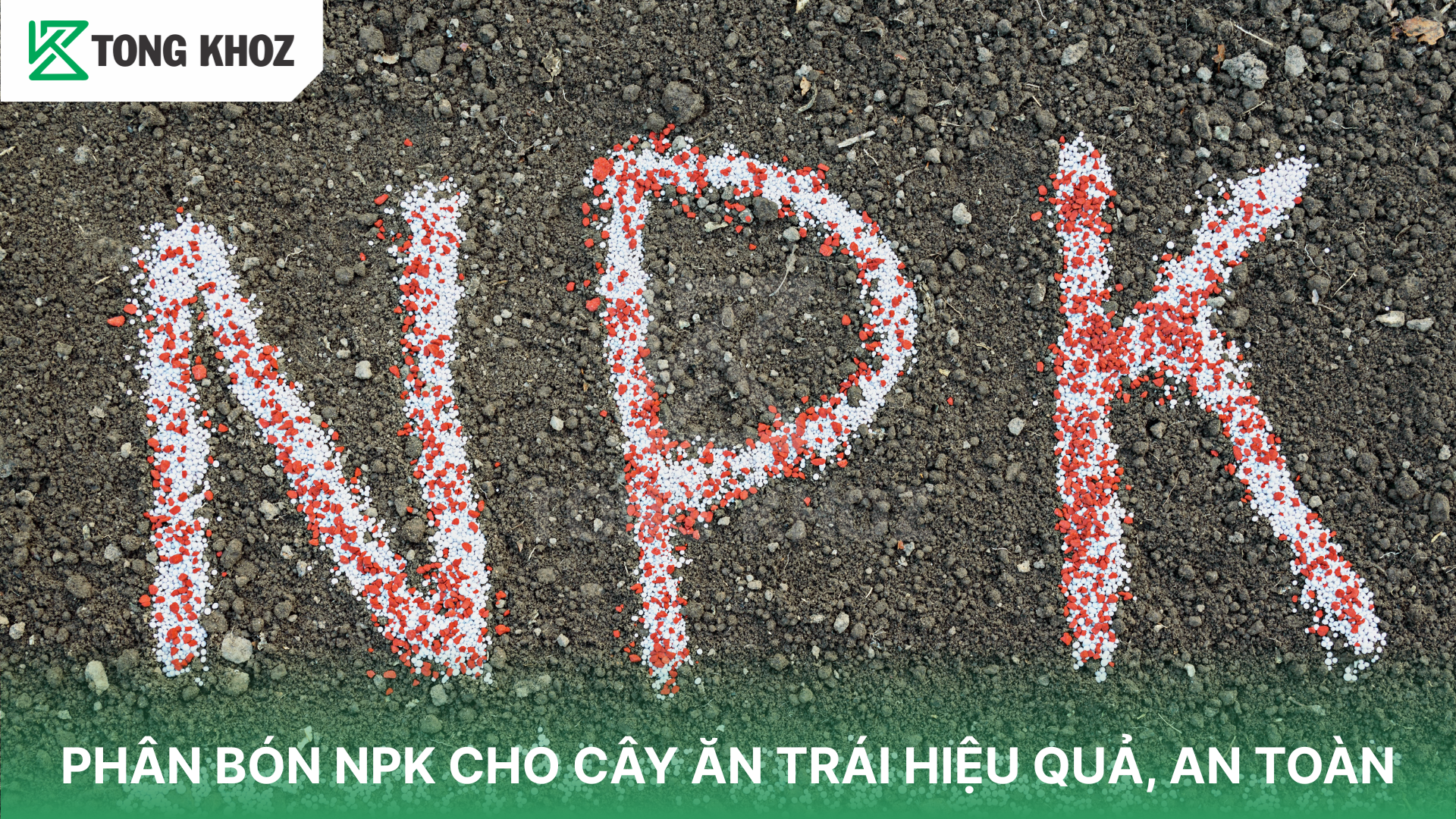 Các loại Phân bón NPK phổ biến